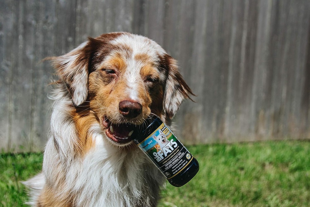 biologicvet---biofats-omega-3-6-9-fatty--5.jpg