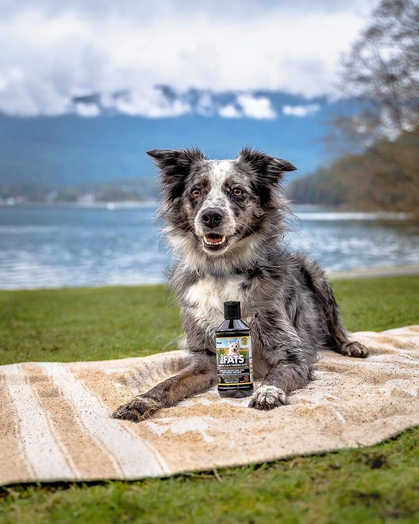biologicvet---biofats-omega-3-6-9-fatty--6.jpg