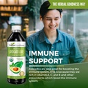 avocado-leaf-extract-liquid-supplement---3.jpg