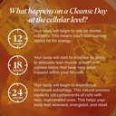 isagenix-cleanse-for-life---detox-system-5.jpg