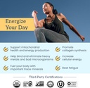 organifi-shilajit-gummies---himalayan-sh-4.jpg