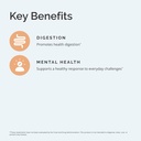 brainmd-dr-amen-probrainbiotics---3-bill-4.jpg