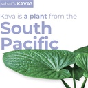 leilo-kava-powered-sparkling-relaxation--3.jpg