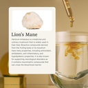 rainbo---lions-mane-mushroom-tincture----3.jpg