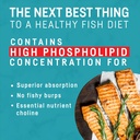 kori-krill-oil-omega-3-superior-absorpti-3.jpg