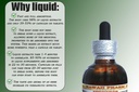 echinacea-alcohol-free-liquid-extract-ec-4.jpg