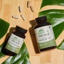 terra-origin-healthy-mind-and-memory-sup-4.jpg