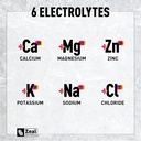 zeal-electrolyte-powder---90-servings-ke-4.jpg