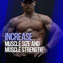 alpha-lion-gains-candy-supplement-pills--3.jpg