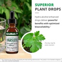 nutramedix-parsley-herbal-supplement---p-5.jpg