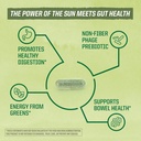 sunwarrior-probiotics-soil-based-vegan-c-4.jpg