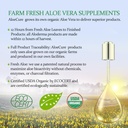 aloecure-veraflex-natural-joint-health-6-6.jpg