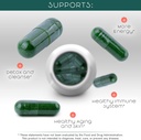 teaveli-spirulina-chlorella-and-blueberr-5.jpg