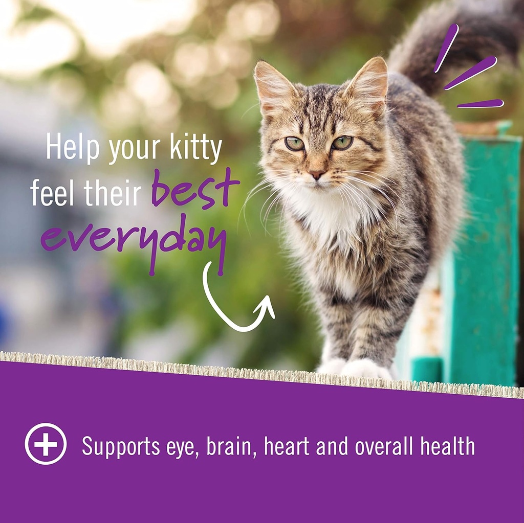 pet-naturals-daily-multivitamin-for-cats-3.jpg