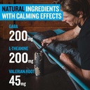 protekt-gaba-l-theanine-supplement-melat-4.jpg