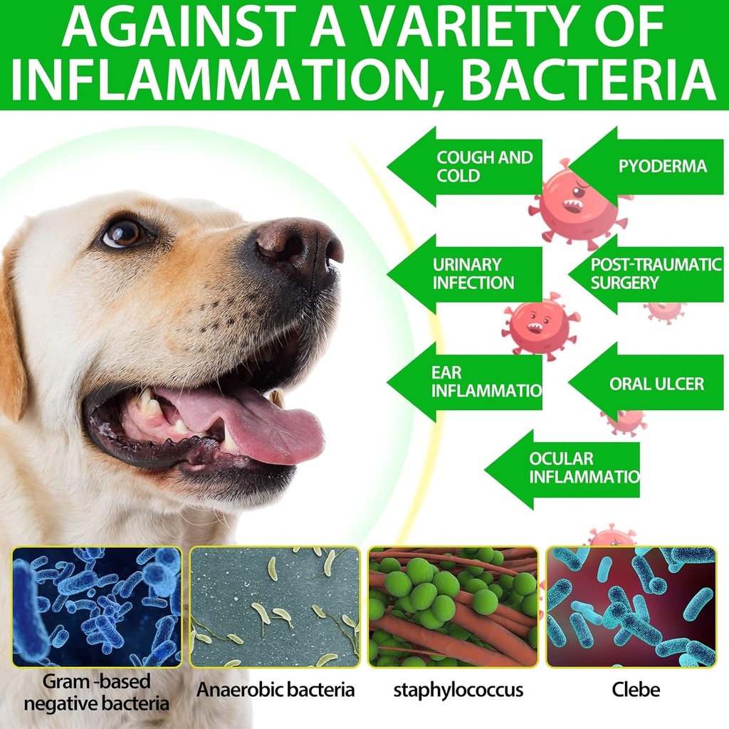 antibiotics-for-dogs-natural-dog-antibio-4.jpg