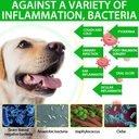 antibiotics-for-dogs-natural-dog-antibio-4.jpg