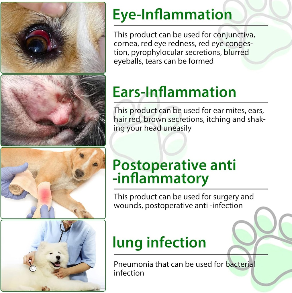antibiotics-for-dogs-natural-dog-antibio-5.jpg