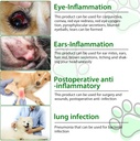 antibiotics-for-dogs-natural-dog-antibio-5.jpg