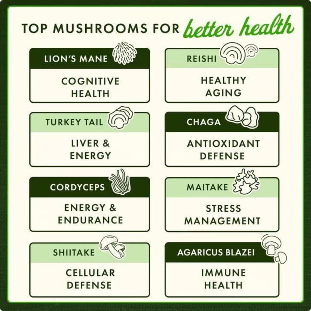 swanson-turkey-tail-mushroom---herbal-su-4.jpg