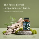 gaia-herbs-valerian-root---support-for-c-2.jpg