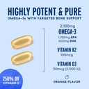 oceanblue-professional-omega-3-2100-with-3.jpg