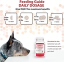 cranberry-d-mannose-urinary-tract-supple-4.jpg