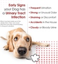 cranberry-d-mannose-urinary-tract-supple-6.jpg
