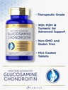 carlyle-glucosamine-chondroitin-msm-250--3.jpg