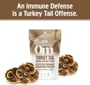 om-mushroom-superfood-turkey-tail-organi-3.jpg