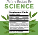 natures-sunshine-elderberry-d3fense-90-c-3.jpg