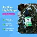 drops-of-nature-quercetin-liquid-drops-7-3.jpg