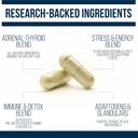 dr-westin-childs-thyroid-adrenal-reset-c-3.jpg