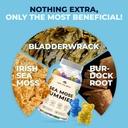 trueseamoss-sea-moss-gummies-contains-ir-4.jpg