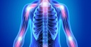 flamasilTM--for-healthy-inflammation-res-5.jpg