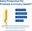 selerb-nad-supplements-for-men-nitric-ox-5.jpg