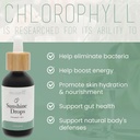 philosophie-sunshine-drops-green-dream-b-2.jpg