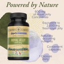 honey-gardens-zand-bee-therapy-royal-jel-3.jpg