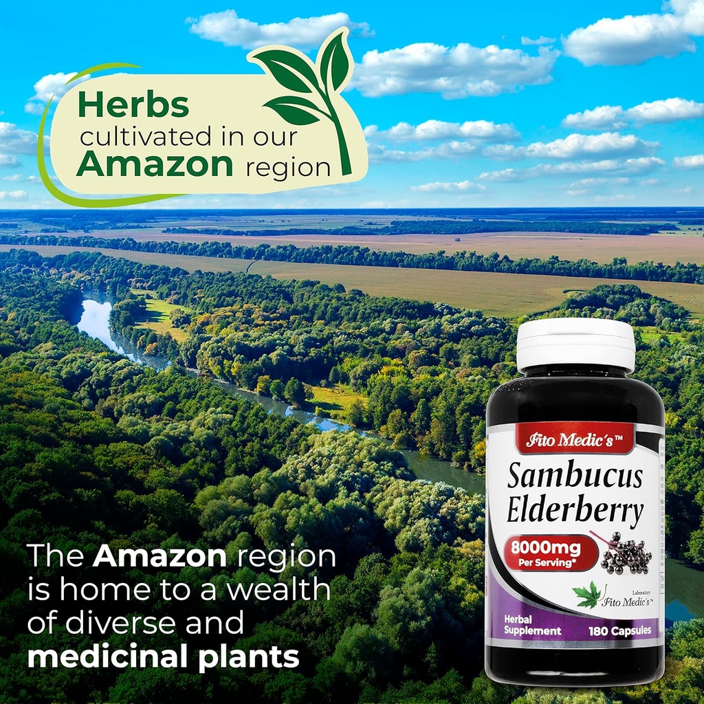 lab---elderberry---sambucus-elderberry-8-4.jpg