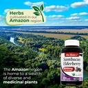 lab---elderberry---sambucus-elderberry-8-4.jpg