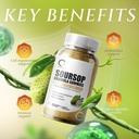 soursop-graviola-gummies---organic-sours-6.jpg