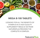 naturesplus-mega-b-100-complex---60-sust-3.jpg