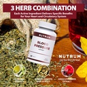 blood-pressure-support-premium-heart-cir-3.jpg