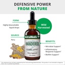 nutramedix-daily-immune-support-suppleme-4.jpg