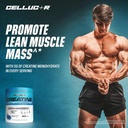 cellucor-creatine-powder-blue-raspberry--6.jpg