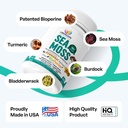 organic-irish-sea-moss-pills---wildcraft-3.jpg