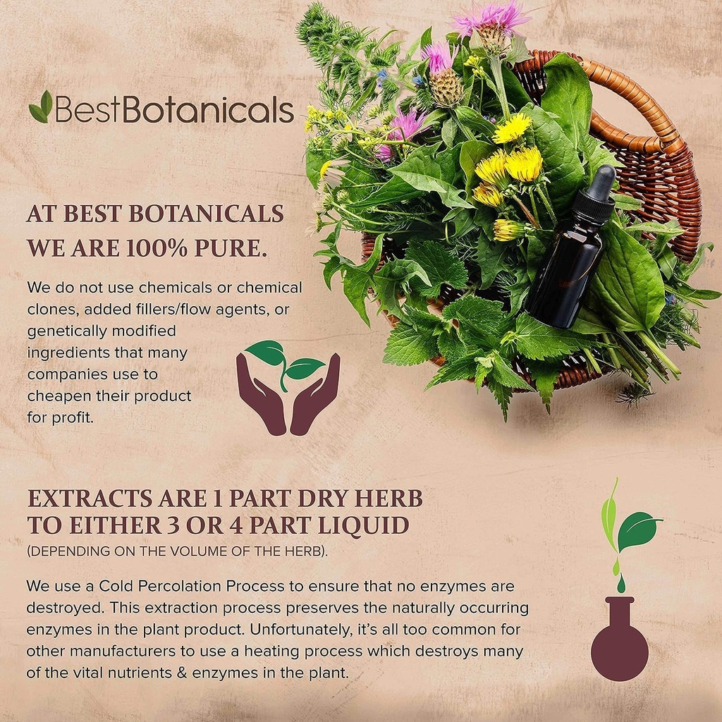 best-botanicals-lobelia-herb-cut-16-oz-5.jpg
