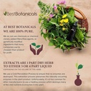 best-botanicals-lobelia-herb-cut-16-oz-5.jpg
