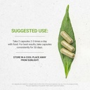 secrets-of-the-tribe-wild-yam-usda-organ-3.jpg