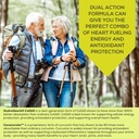 coq10-max-high-absorption-supplement-wit-4.jpg